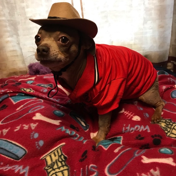 🛑 COMMENTS ARE FULL PLEASE LIKE NEW GAME!🛑 - Picture 11 of 15